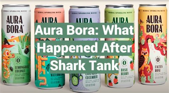 Aura Bora Shark Tank Estimated Worth – What Happened To The Company?