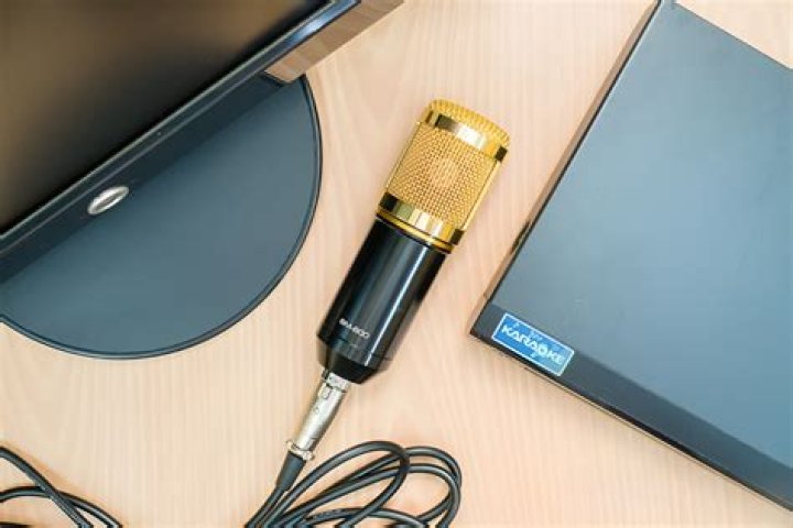 How to get rid of echo on mic