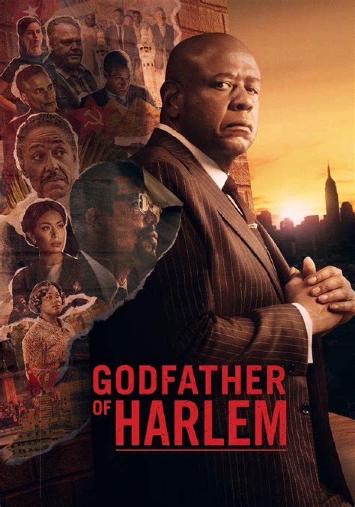 Nigel Thatch Wikipedia, Wife, Net Worth, Age, Bio, Height – Godfather of Harlem Wiki