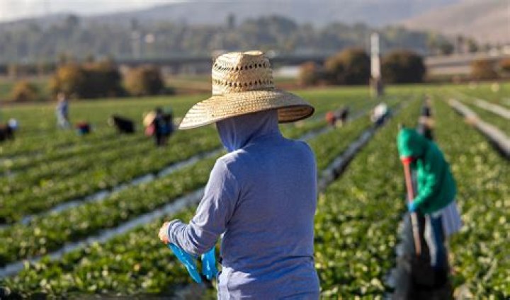 Secrets Uncovered – How did farmworker Roberto Ayala die?