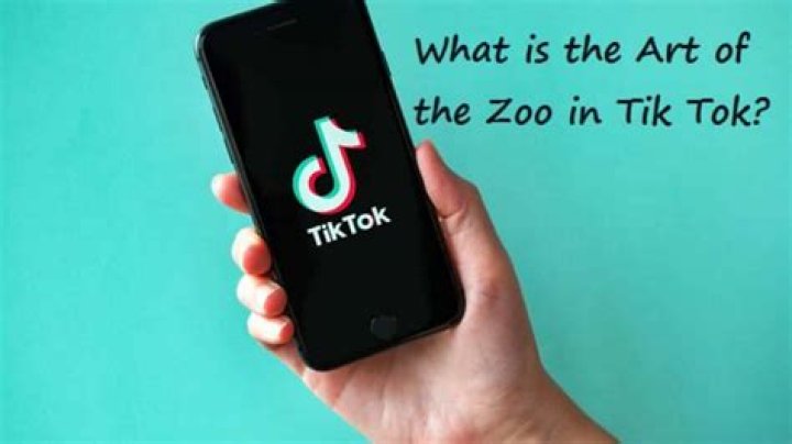What Does Art Of The Zoo TikTok Mean? Explained