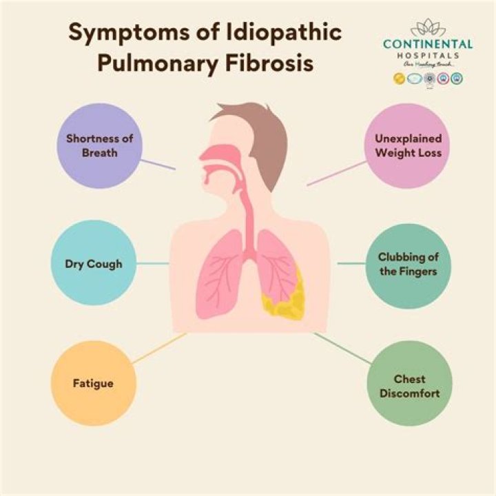 What is idiopathic pulmonary fibrosis? Tom Dees illness explored as longtime Fox13 reporter dies aged 57
